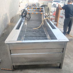 【果蔬清洗線、水產(chǎn)品清洗設(shè)備、土豆清洗設(shè)備、大棗清洗設(shè)備】- 